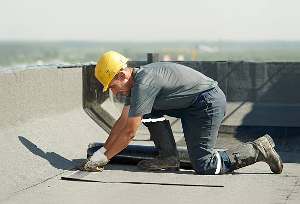 Best Geographic-Specific Insulation Services in Robbinsdale, MN