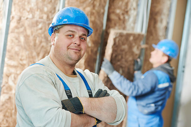 Best Specialized Insulation Services in Robbinsdale, MN